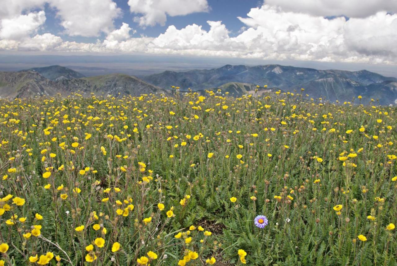 The Powderhorn Condo Unit #302 Taos Ski Valley Luaran gambar